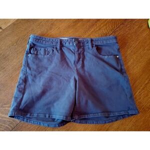 Pilcro & The Letterpress Fit Stet Charcoal Gray Denim Jean Shorts Size 35‎